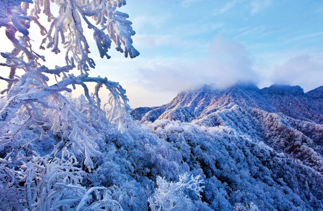 四川冬天最值得去旅游的景点,四川旅游必玩景点推荐,不花冤枉钱
