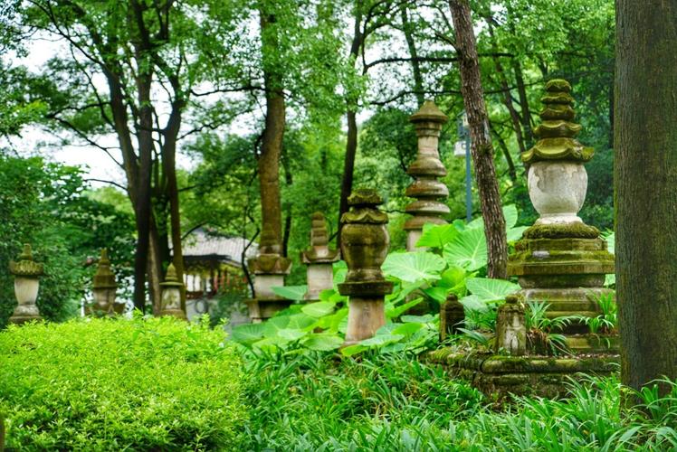 四川景点:泸县玉蟾山景区