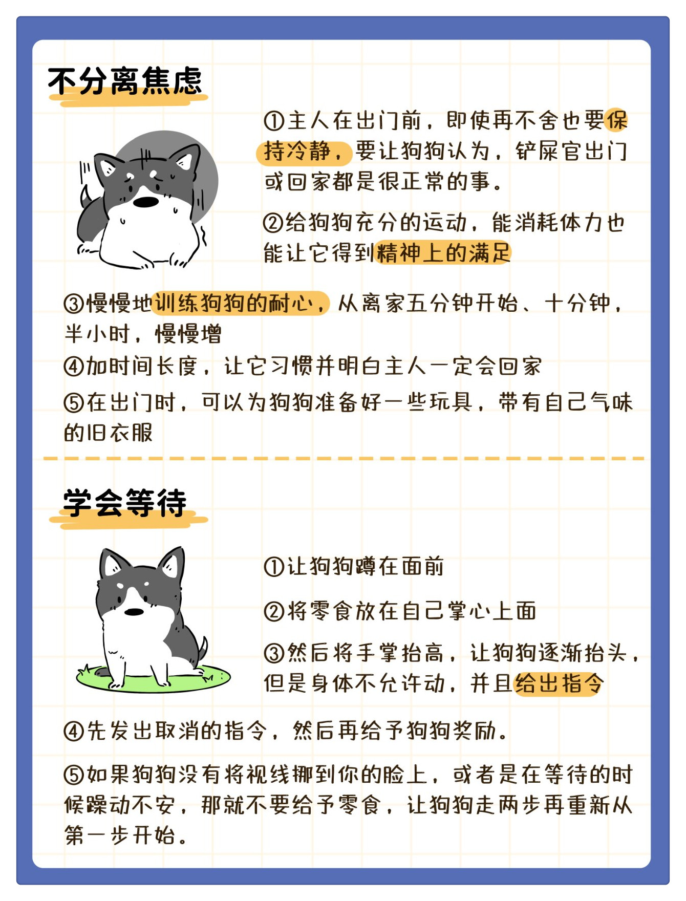 狗狗坏习惯纠正方法!码住,不然找不到了!