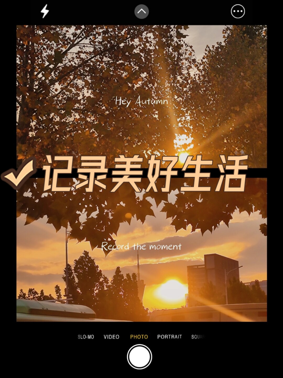 记录美好生活  用心记录下生活中的每一刻美好瞬间,无论是晨曦微露时