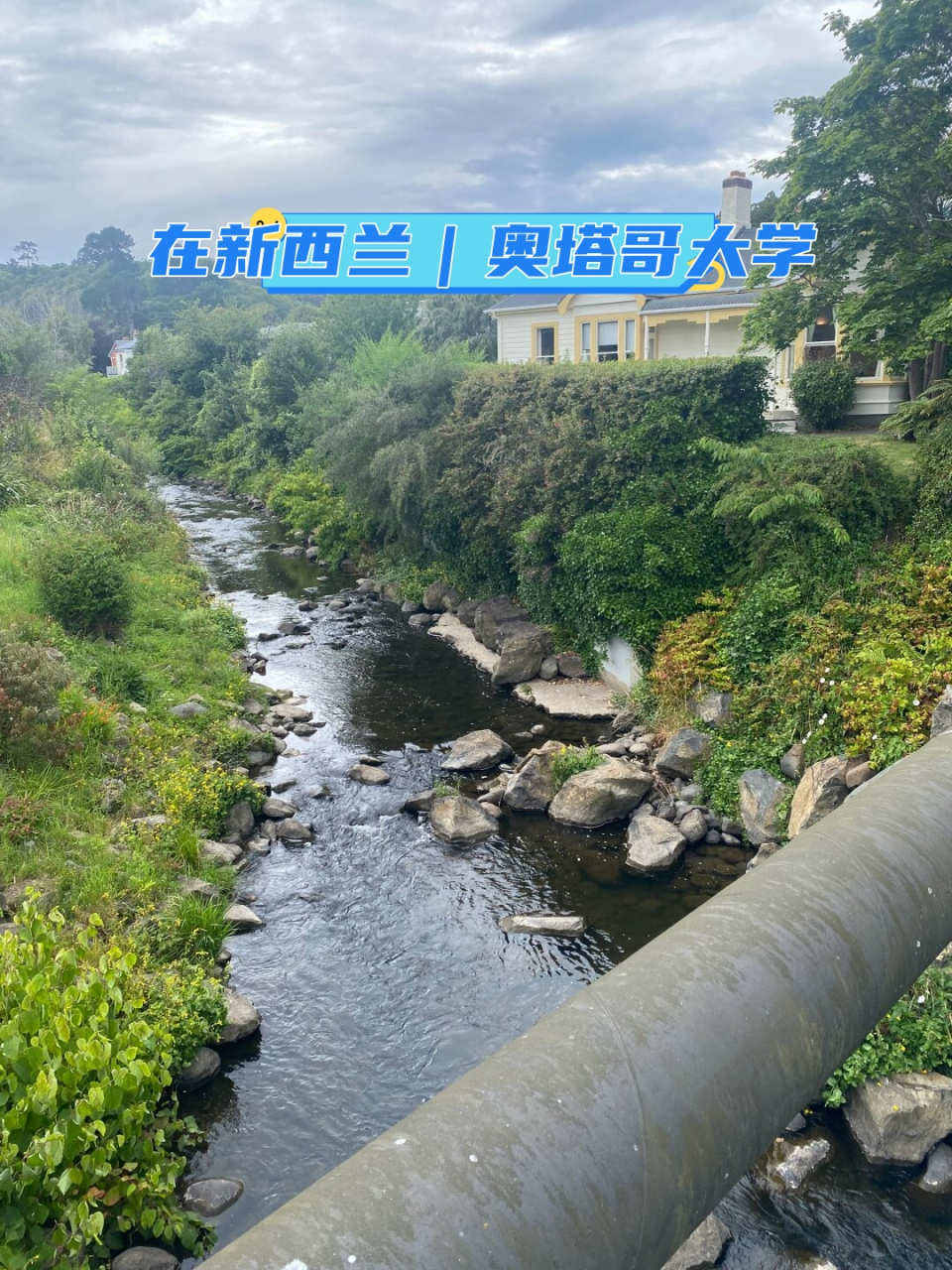 在新西兰|奥塔哥大学  在新西兰的奥塔哥大学,学生们可以享受世界一流