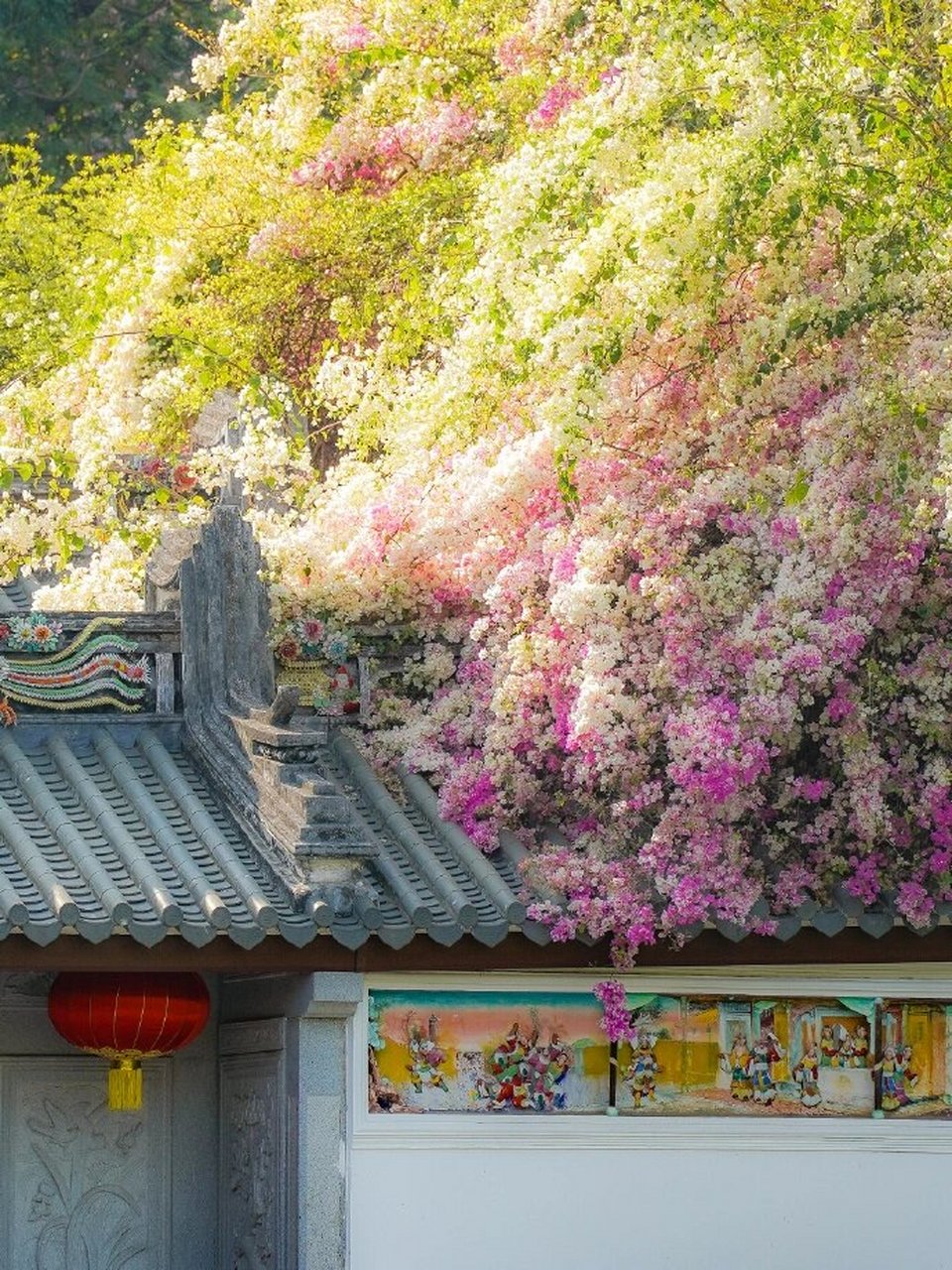 一些春日美图  当你翻开这些春日美图,仿佛能闻到花香,感受到春风拂面