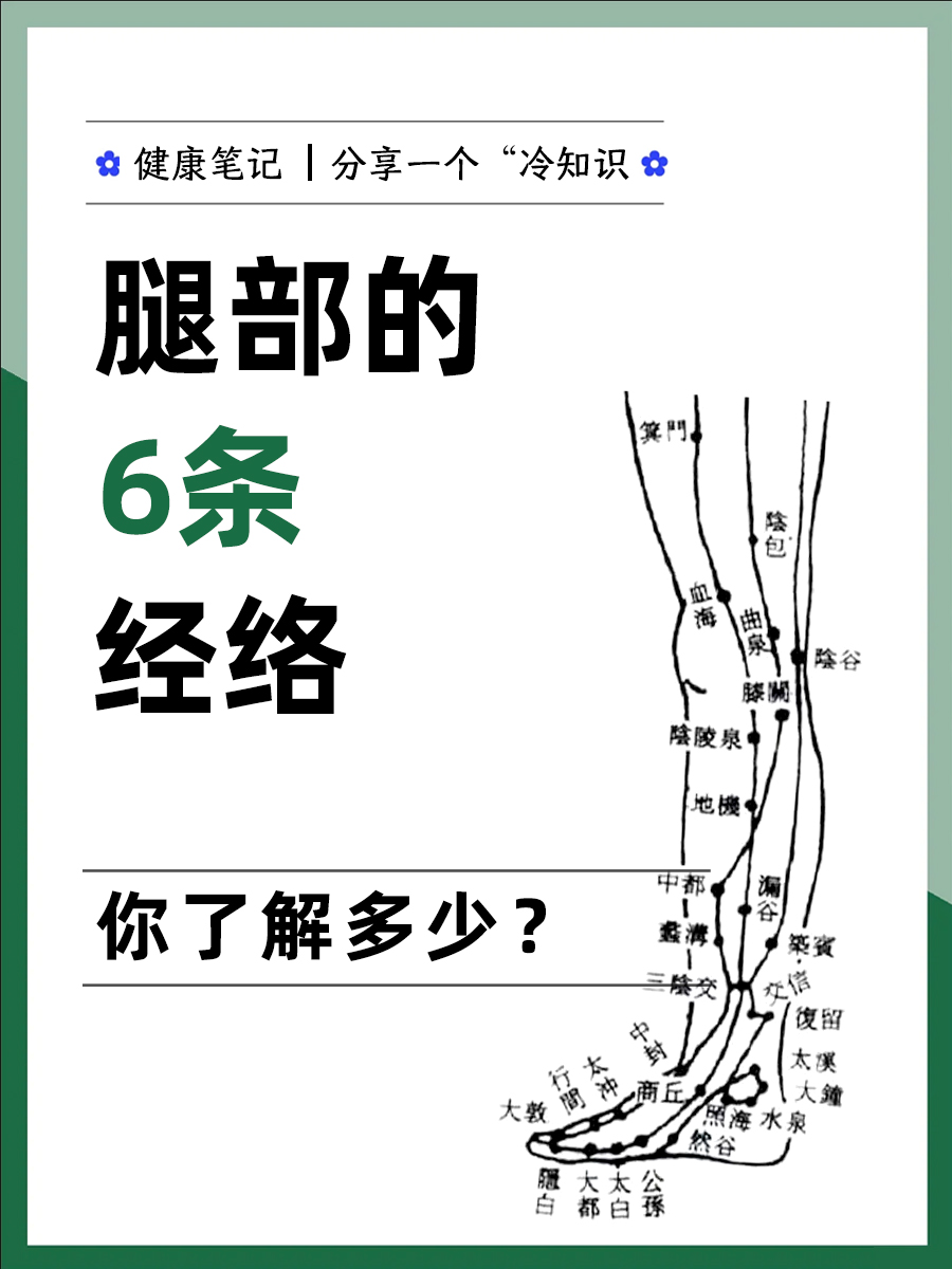 [嘿哈]腿部的6条经络,你了解多.@有来医生的动态