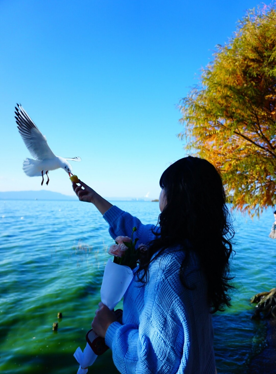 面对熙熙攘攘的人群,摄影师和我都不遗余力地捕捉这些海鸥的美丽瞬间