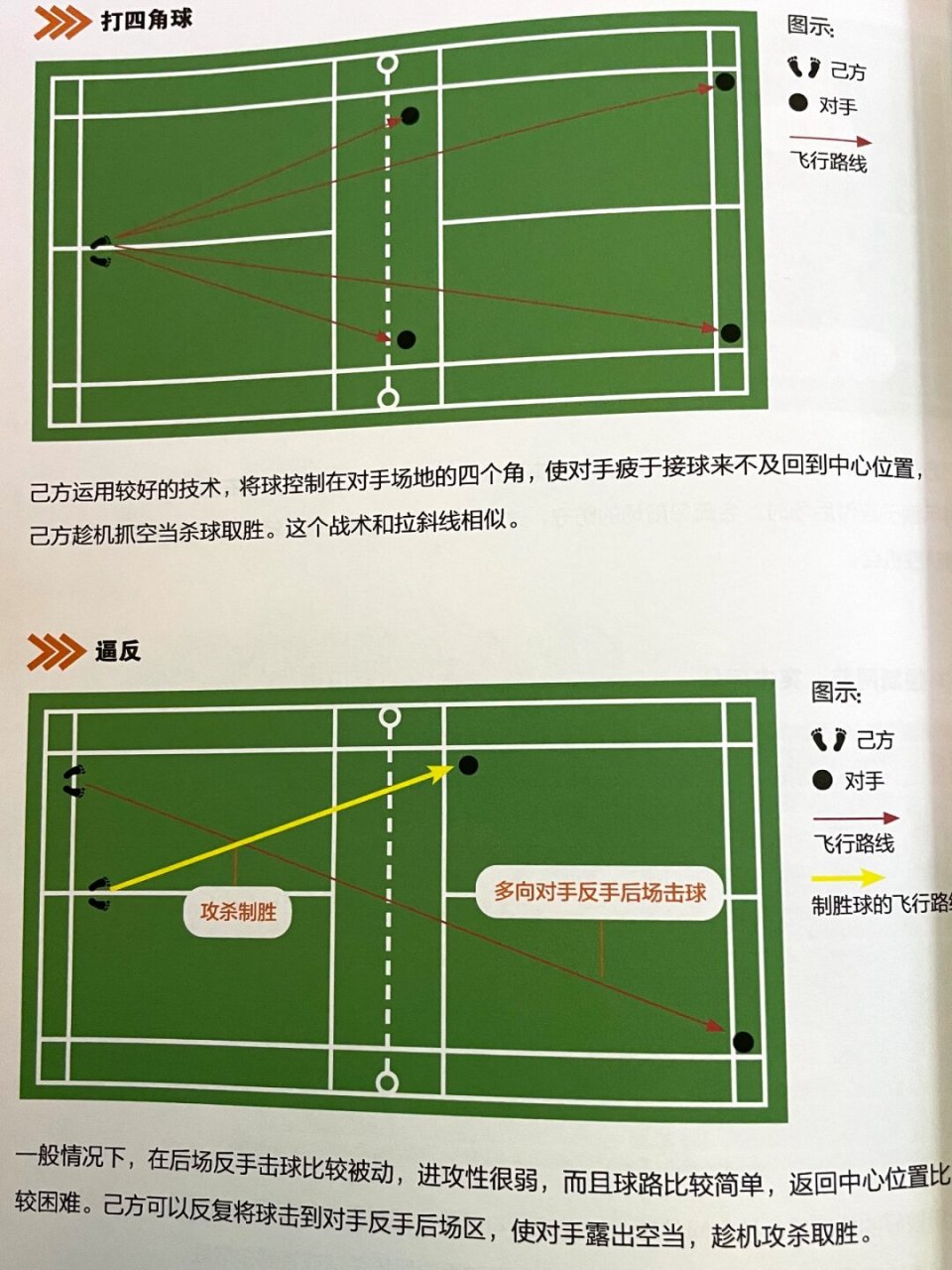 羽毛球单打和双打边线图片