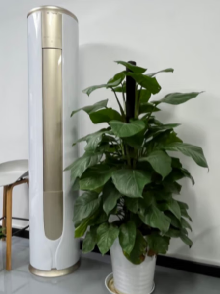 科龙3匹圆柱空调怎么样?宝宝的专属舒适体验!