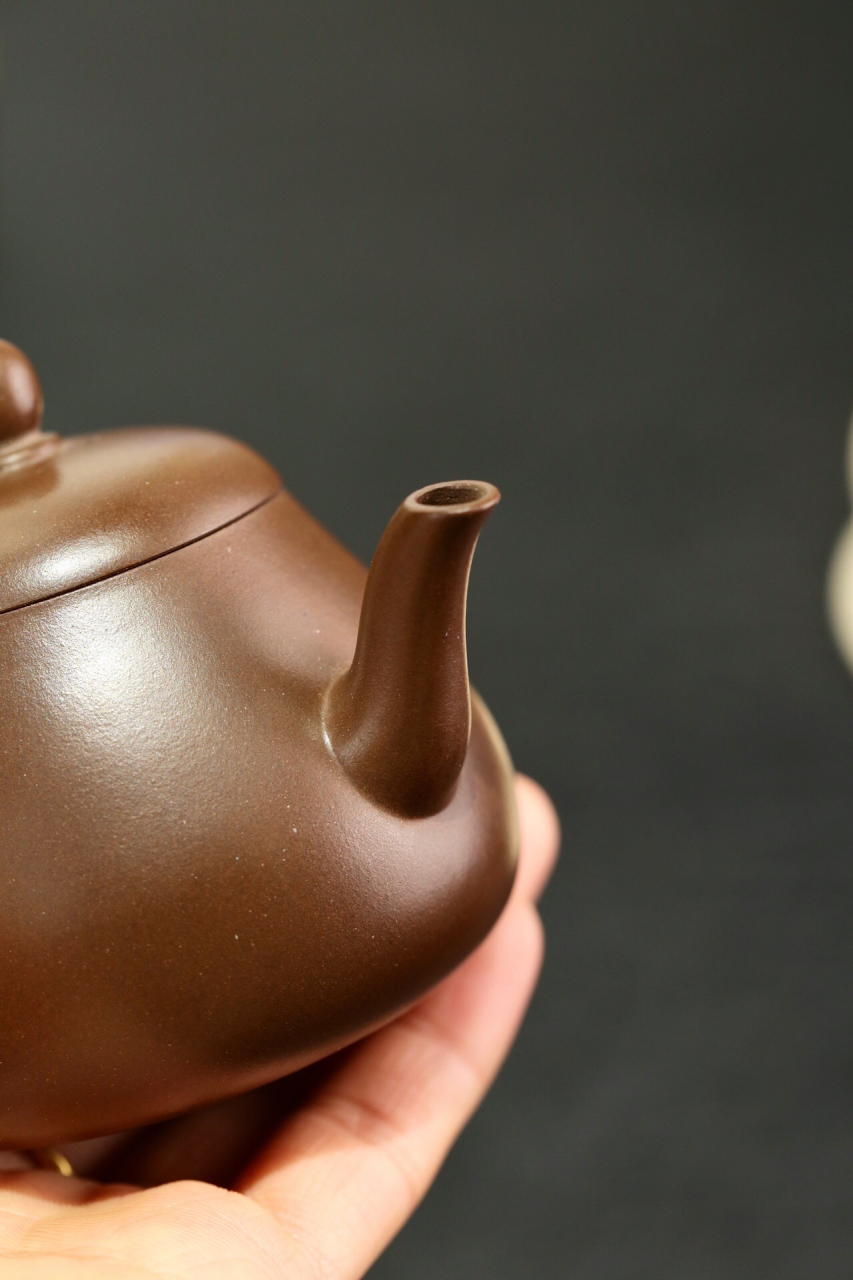 壶身与壶盖的线条优雅而流畅,犹如走韵的旋律,散发着迷人的香气.