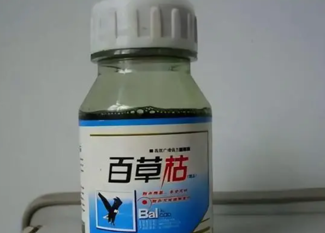 回顾:女子喝农药送医院抢救无效死亡,闹事家属却逼到副院长跳楼