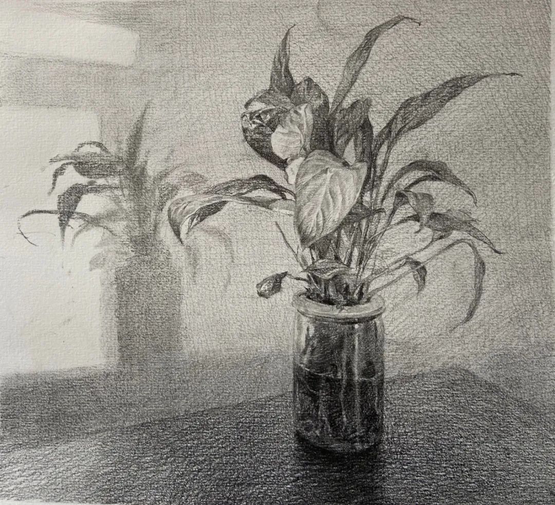 美院附中备考:中央美术学院静物素描作品欣赏