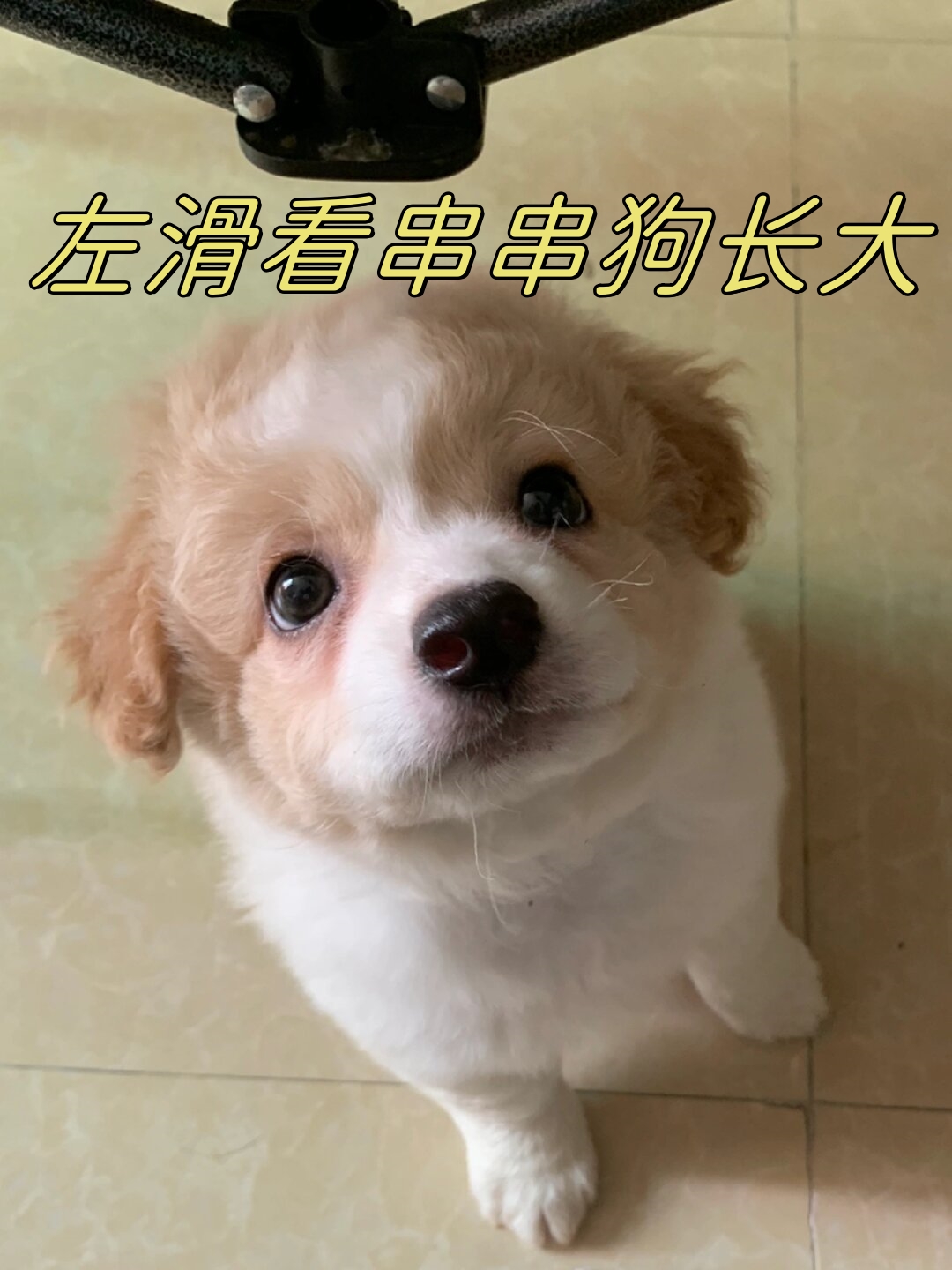 即便已经长大,你依然像小时候一样,是妈妈心中的