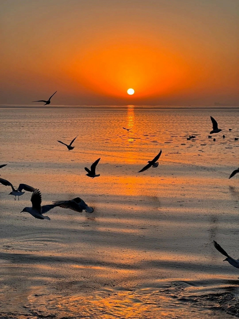 落日夕阳唯美手机壁纸 喜欢日落美景的戳进来 生活很匆忙,别错过落日