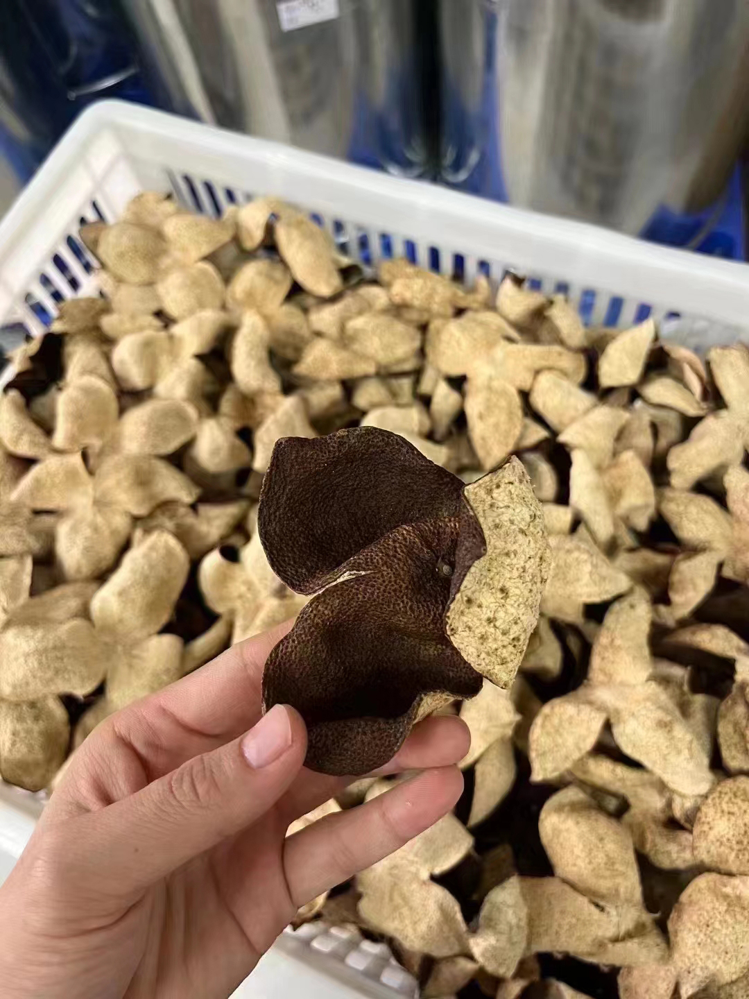 老陈皮都有哪些气味特征 新会陈皮独特的香气是重要的标识之一而