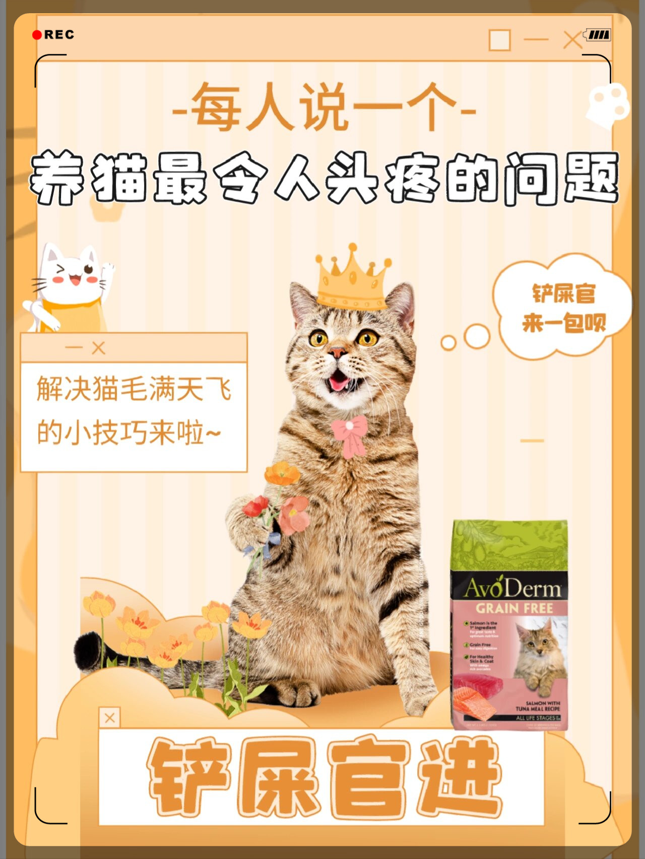 遇到过吗  比如不用猫砂乱拉乱尿喜欢打翻东西半夜蹦迪影响你的睡眠