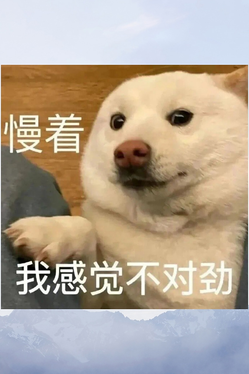 今天来分享一些超搞笑的表情包,让你的聊天更加有趣!