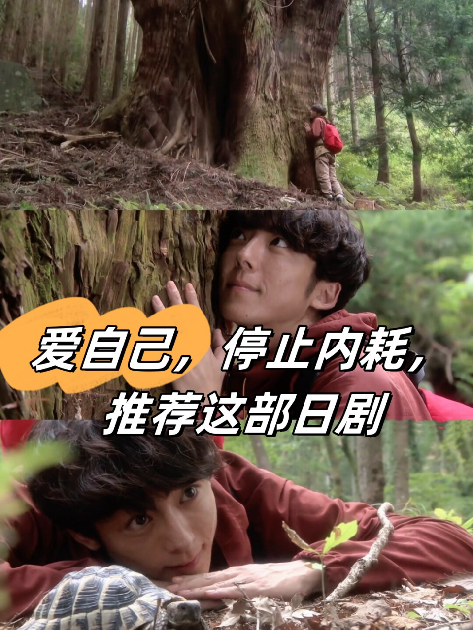 爱自己,停止内耗,推荐这部日剧