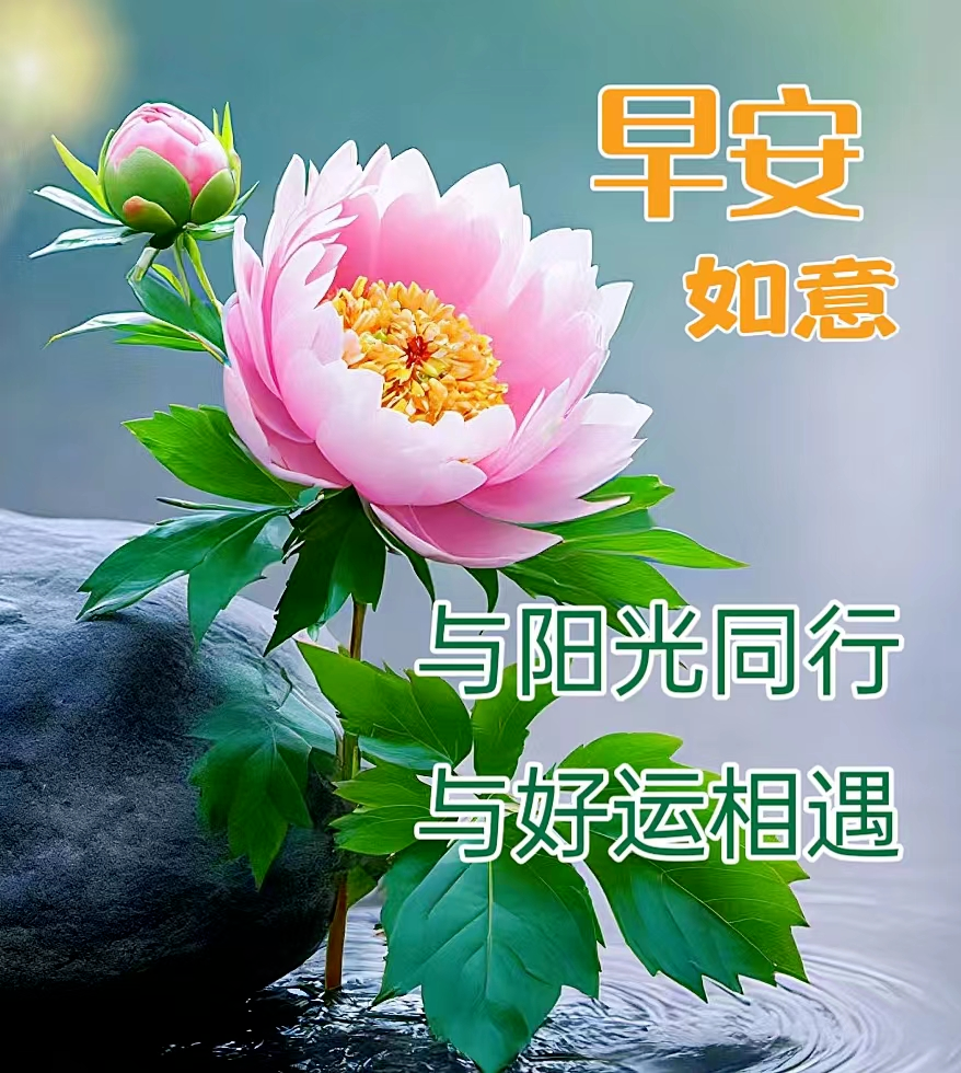 微信最新版早上好祝福问候图片