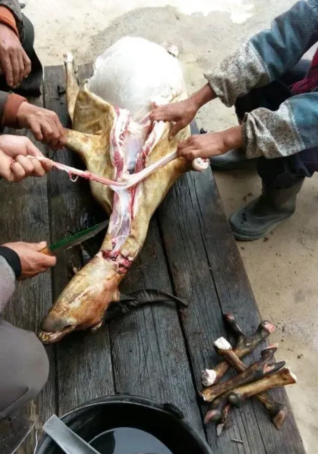 老板说65,正宗黑山羊,还问我要不要,我说太贵了,不要