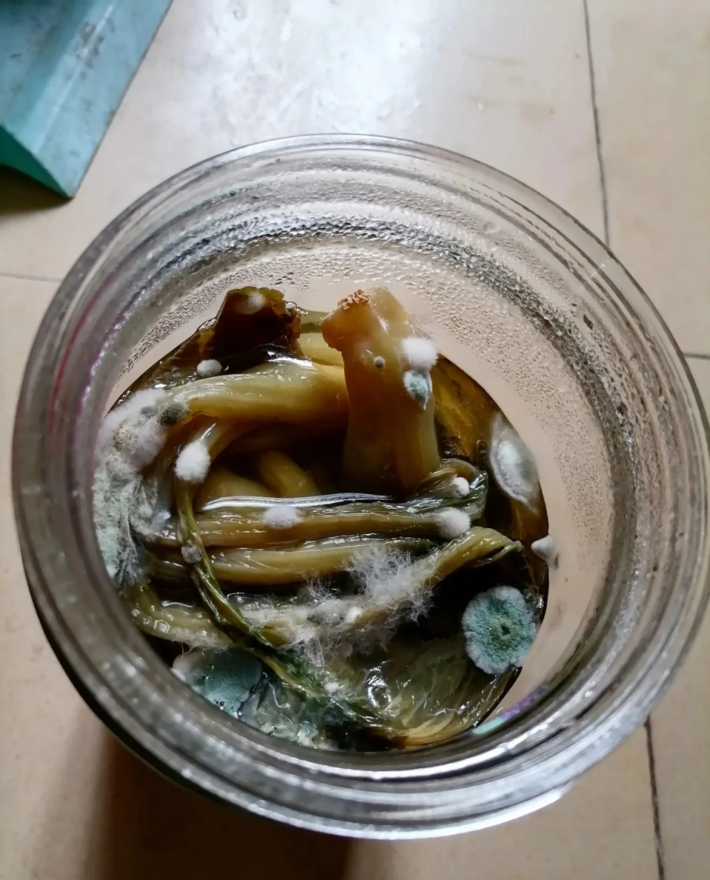 自己在家做的酸菜竟然发霉了.