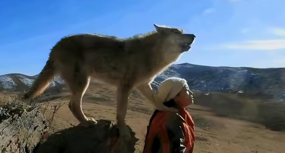 小狼崽的母亲带领着狼崽奋力逃跑,但还是被猎犬追上.