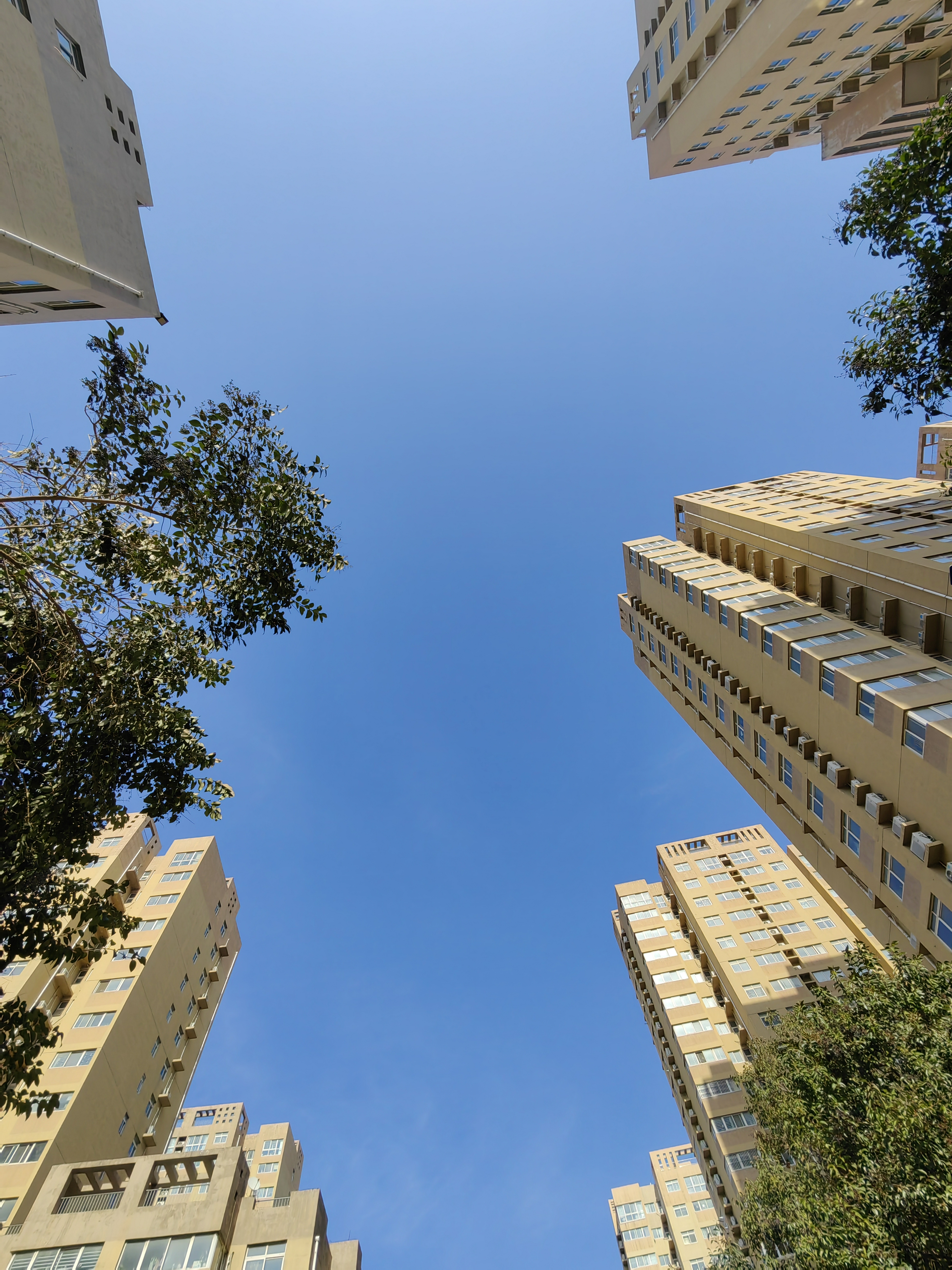 对城市居民来说,天空是最后一片真正的荒野.