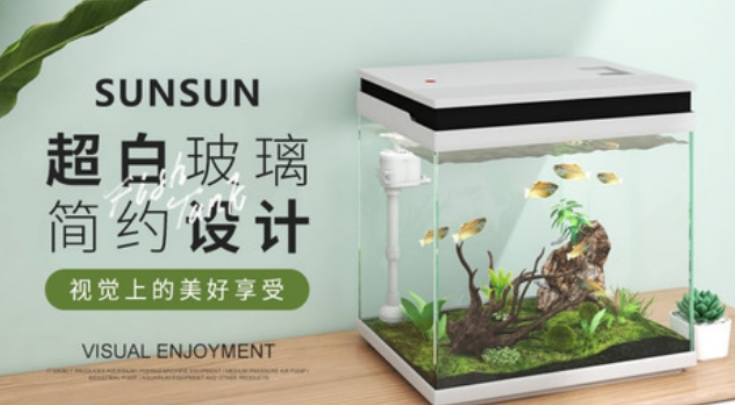 水族设备市场聚焦——东莞引领新风向