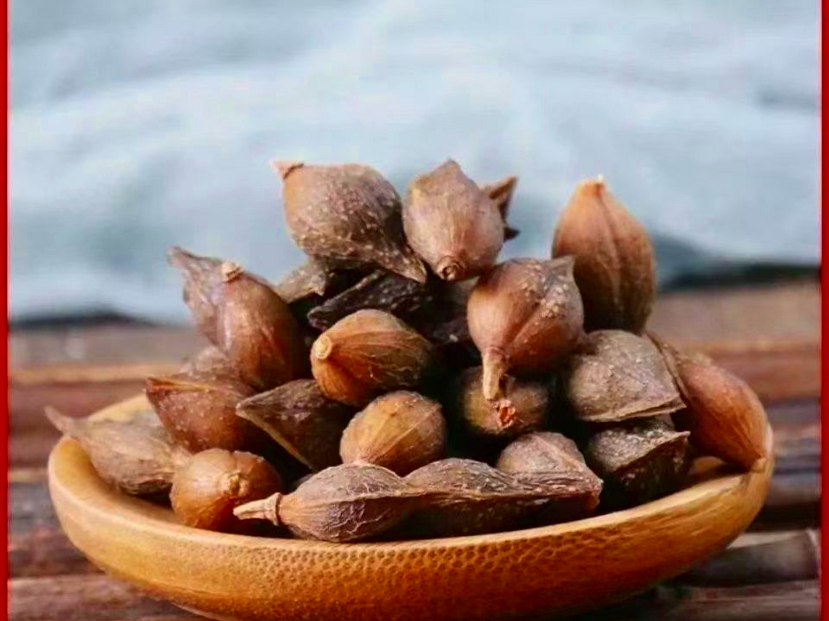 连翘苗从种植到结果需经历幼苗期,生长期和开花结果期,分别约需1年,2