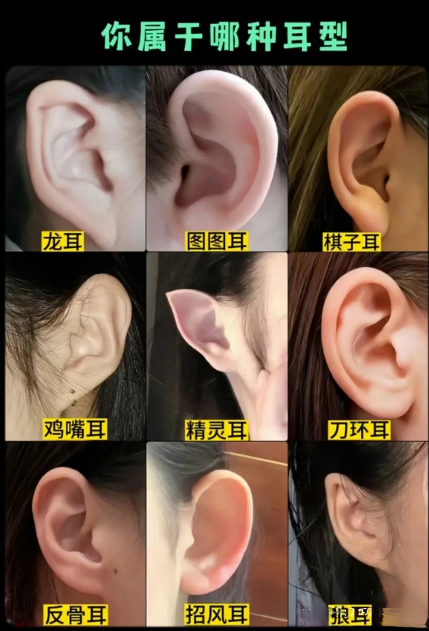 你属于哪种耳型?  #优质创作者专属激励活动