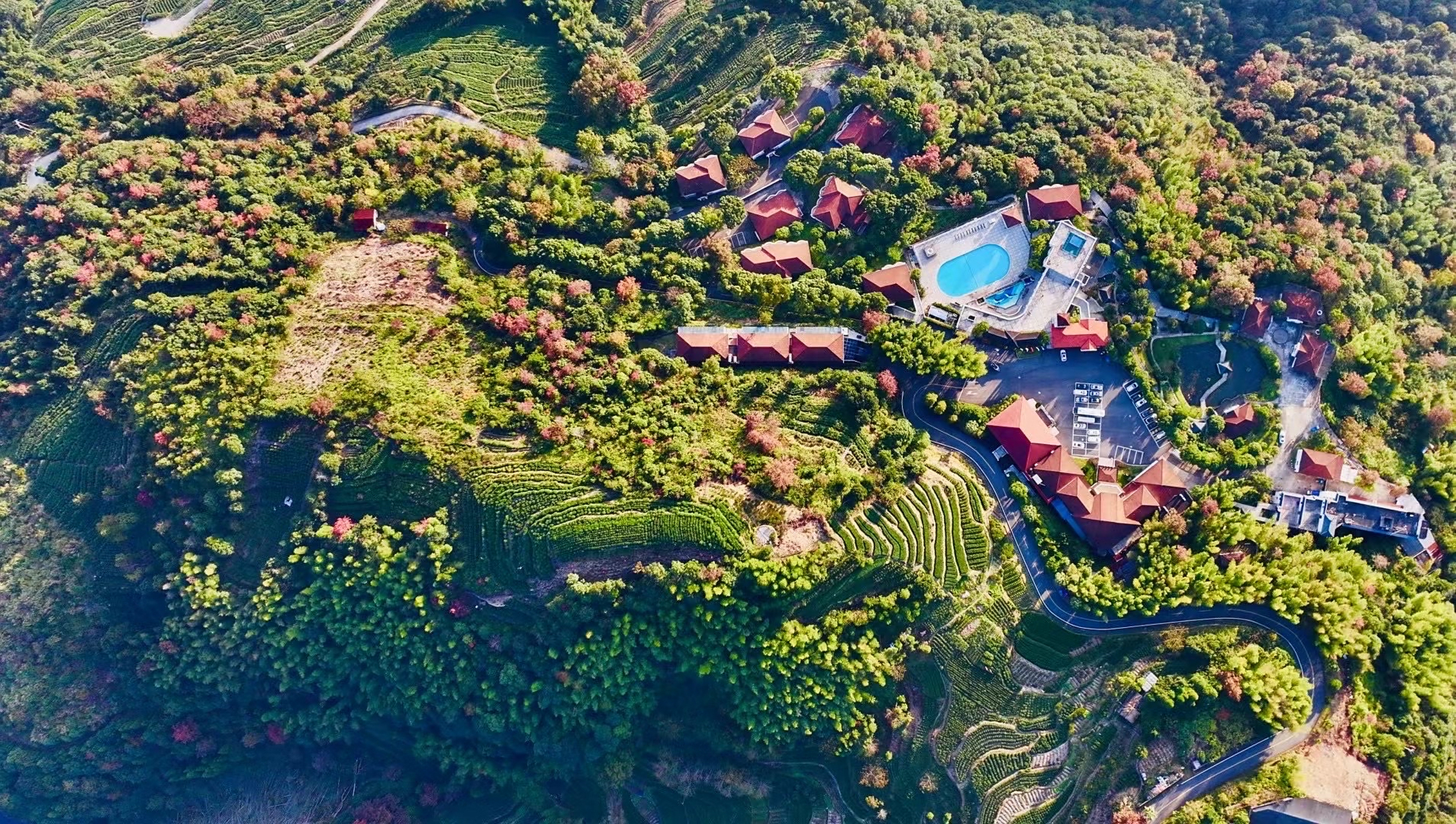 一组照片就是一段人生,今天给你推荐承天氡泉 泰顺承天氡泉自1973年