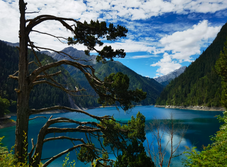 回顾:在九寨沟旅游,遇见一位藏族司机,与司机的谈话让我印象深刻