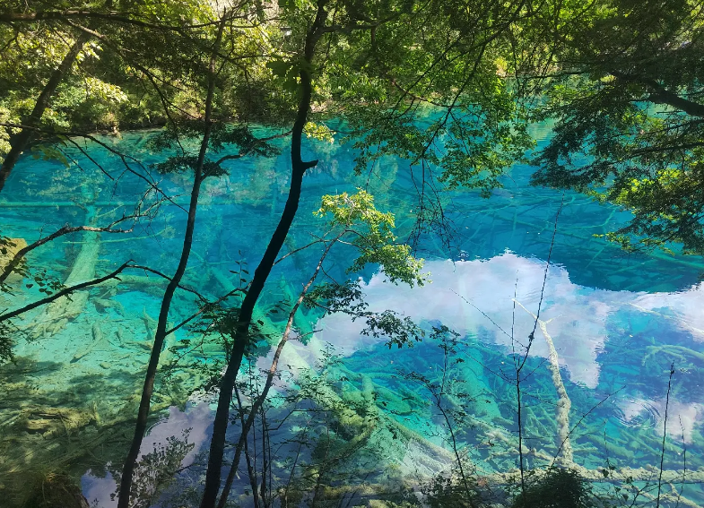 九寨沟五彩池简介图片