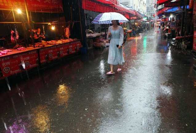 2015年天津一家四口吃餃子後中毒身亡警察憑藉雨水找出真兇