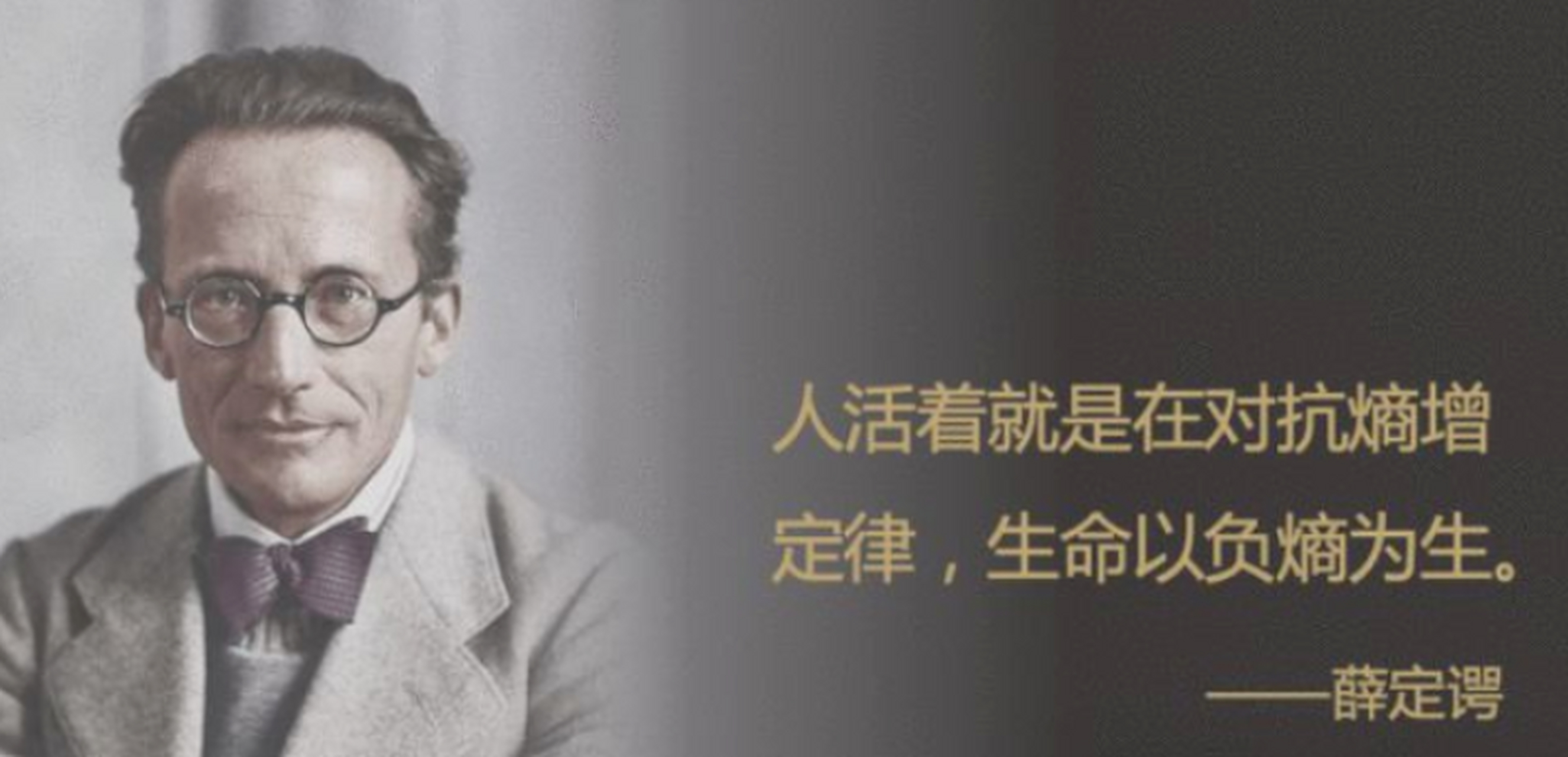 什么是薛定谔定律(什么是薛定谔定律的应用)