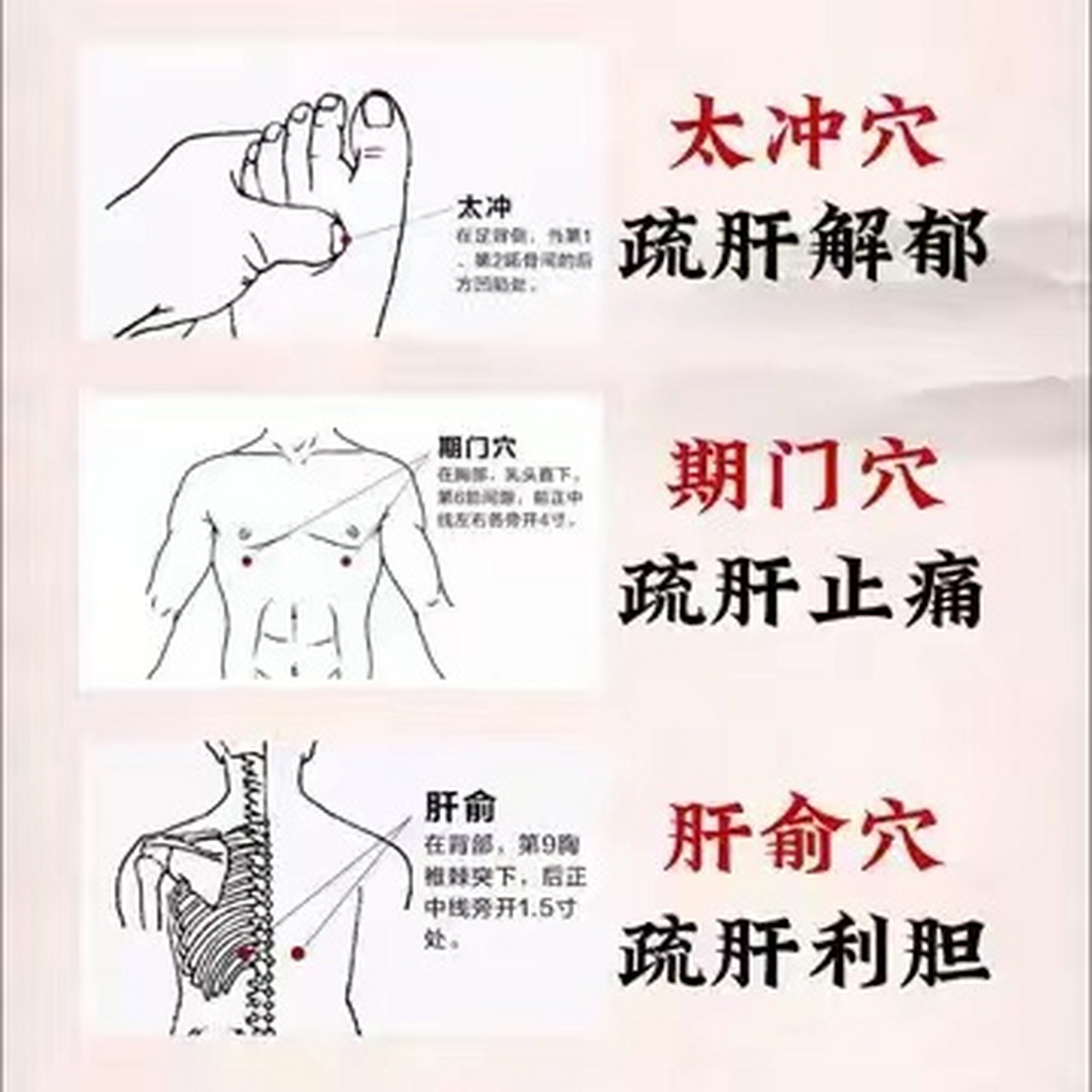 疏肝理气按摩哪里配图图片