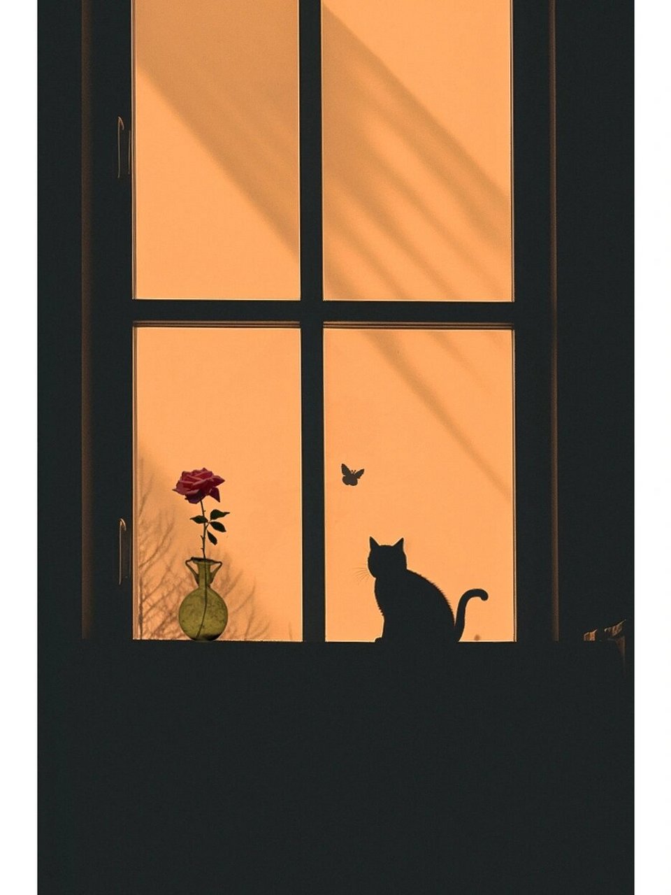 花园中,有一只想要捕捉月亮的小猫咪.