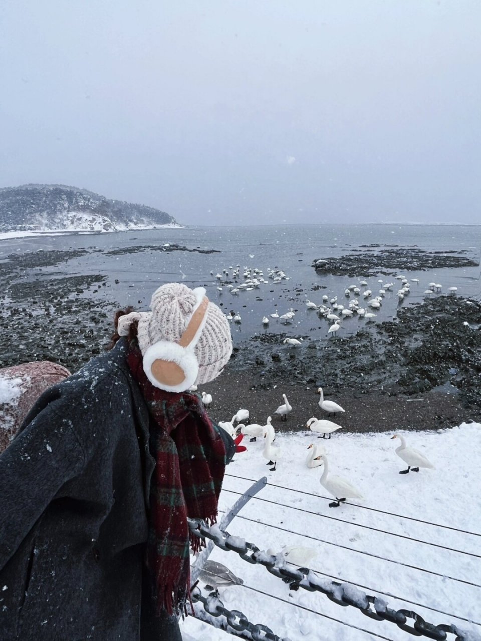 威海冬天下雪海边图片图片