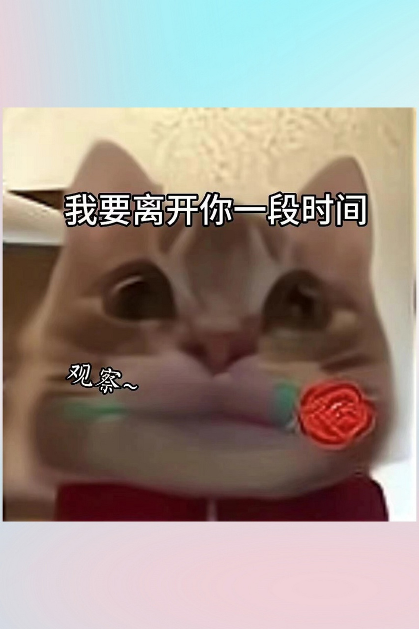 教你怎么挑逗男朋友