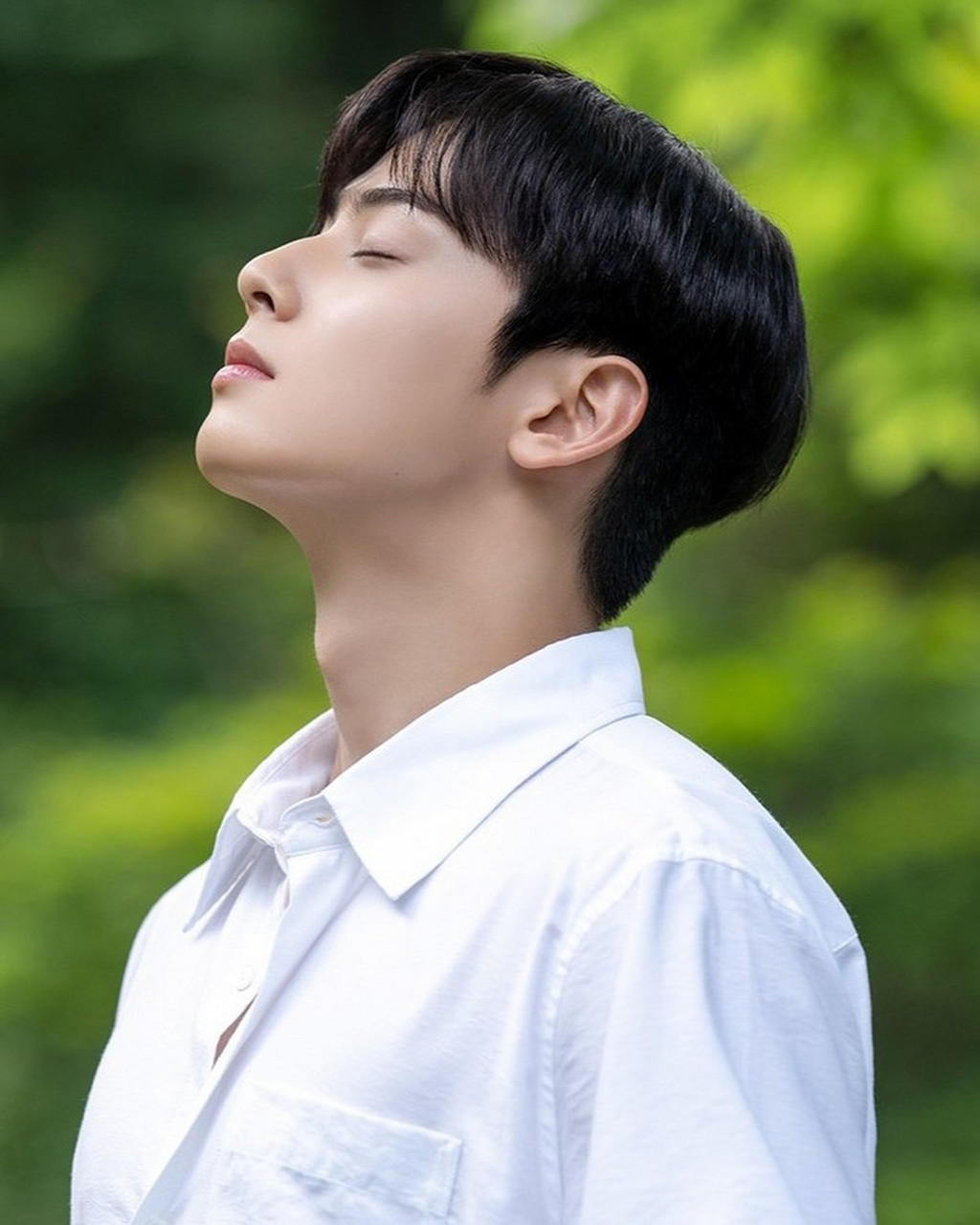 黑发白衬衫车银优 他是我见过最温柔的人 #最靓头像壁纸征集赛