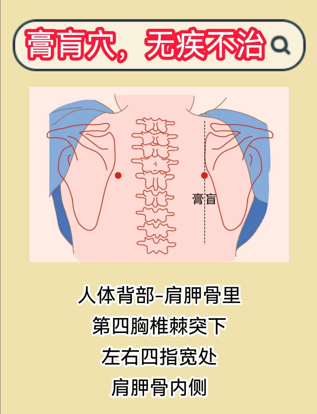 弯寸关位置图图片