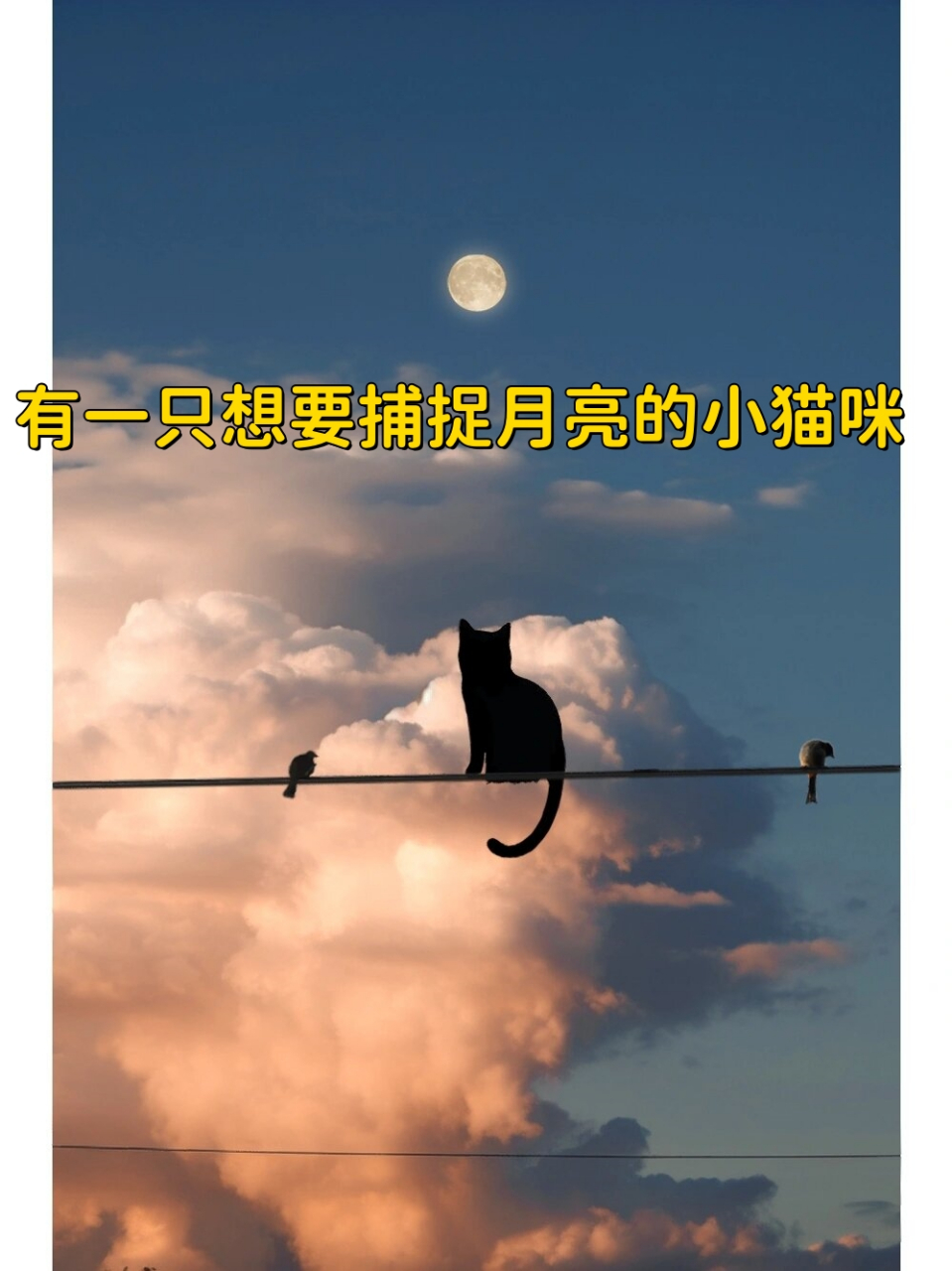 有一只想要捕捉月亮的小猫咪  在月夜下,一只小猫咪抬头仰望天空,皎洁