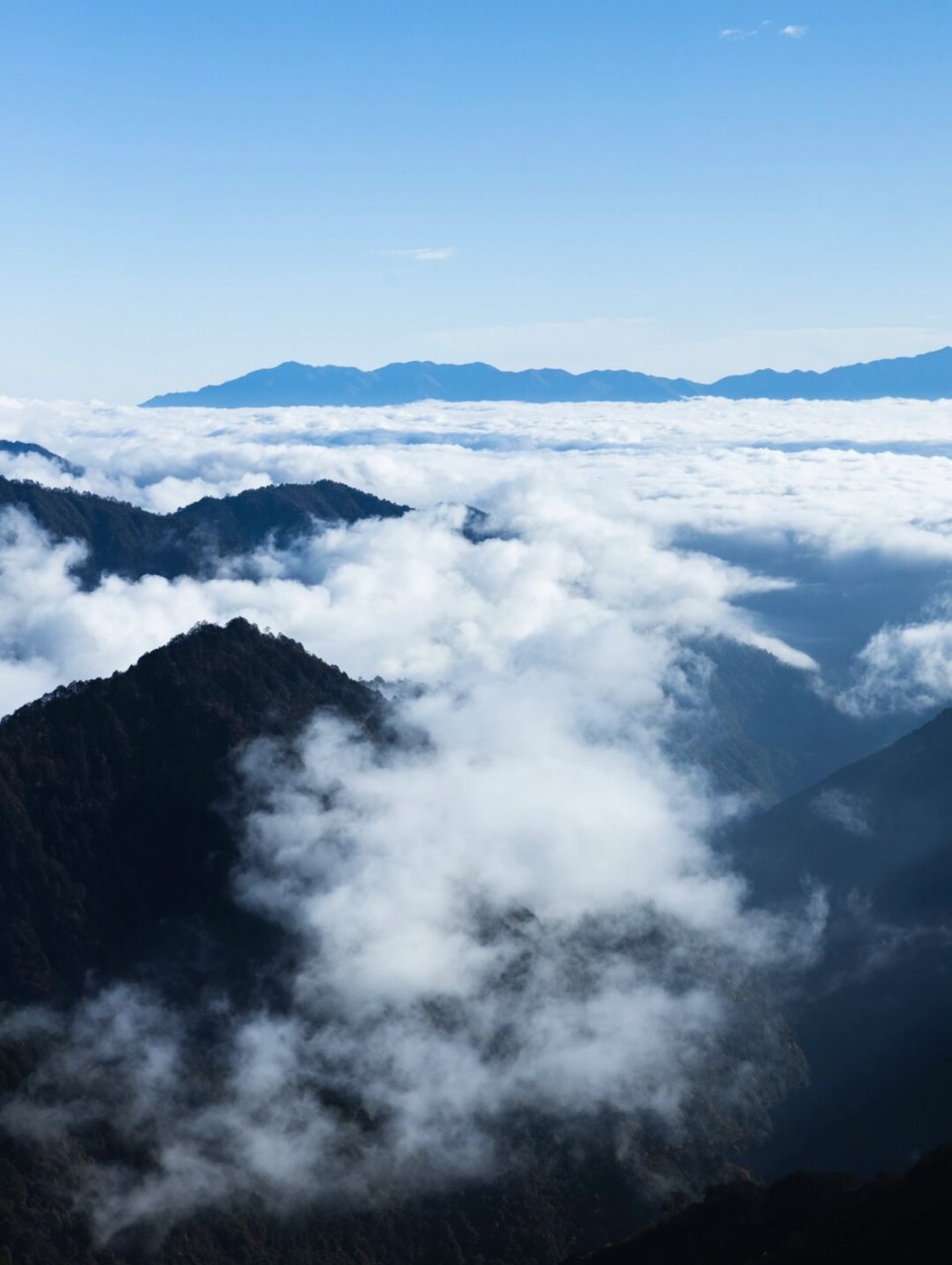 旅途中的美景|被朋友圈问爆的雪山云海  在计划旅行时,我曾在"牛贵山"