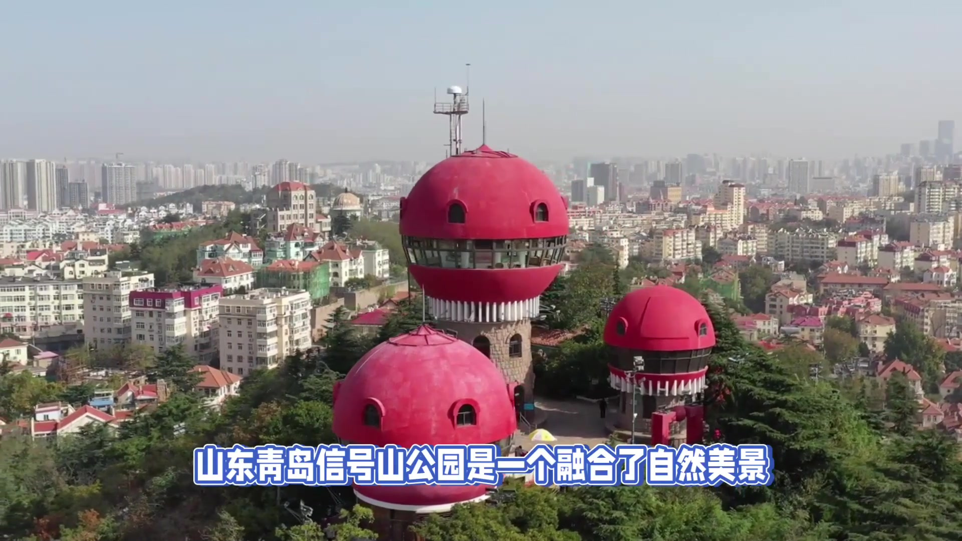 山东青岛信号山公园:海拔98米,尽览青岛老城美景