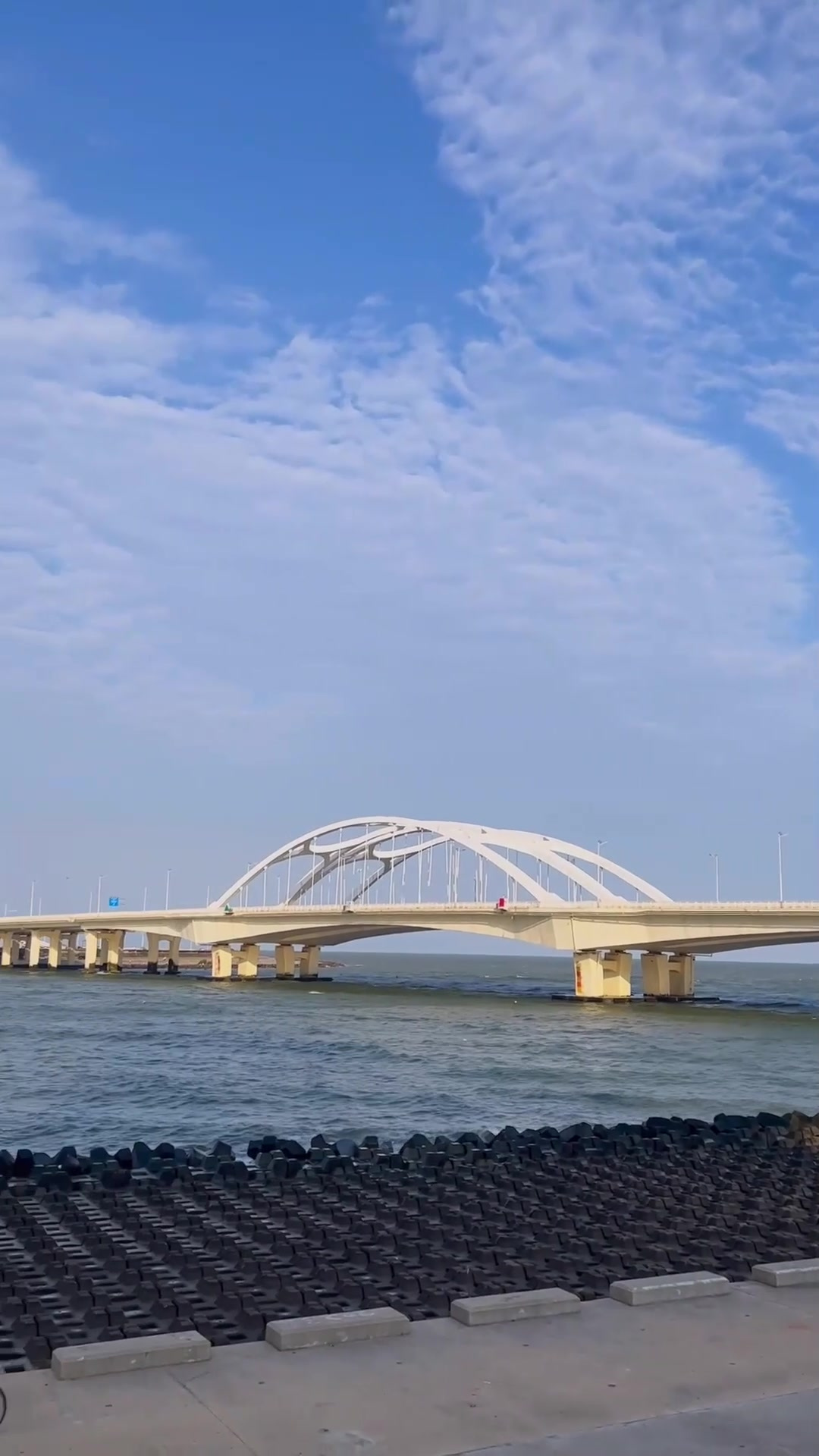 汕头东海岸:桥与碧海蓝天