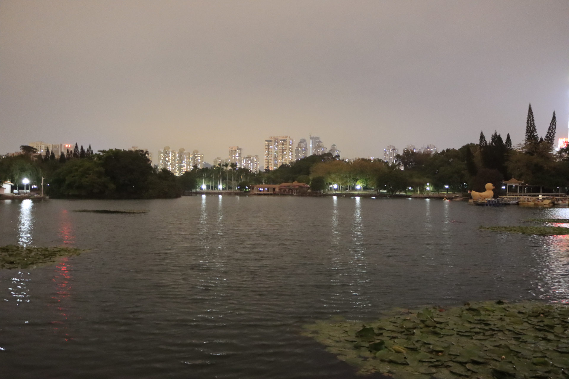 深圳罗湖荔枝公园夜景拍摄