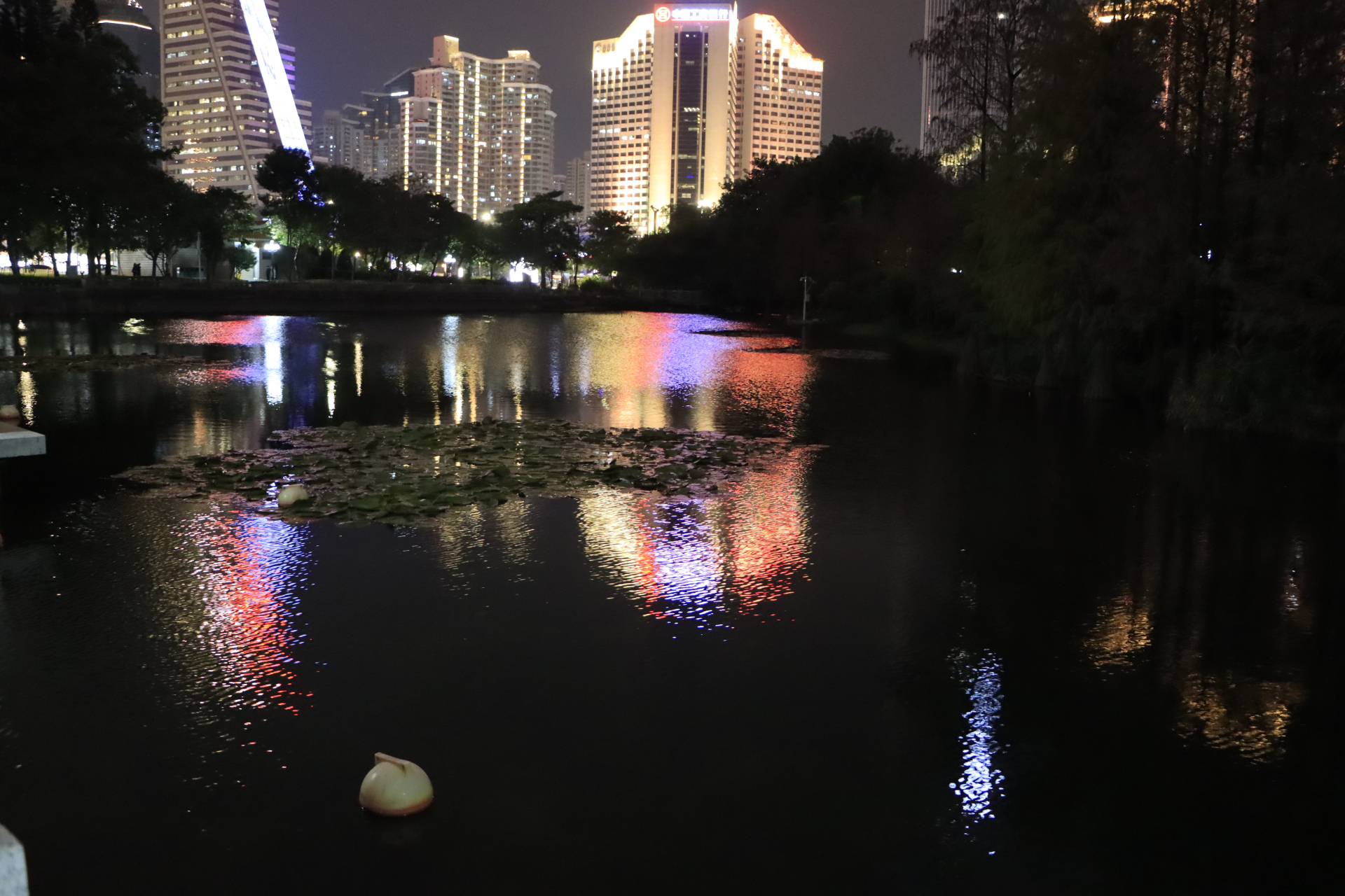 深圳罗湖荔枝公园夜景