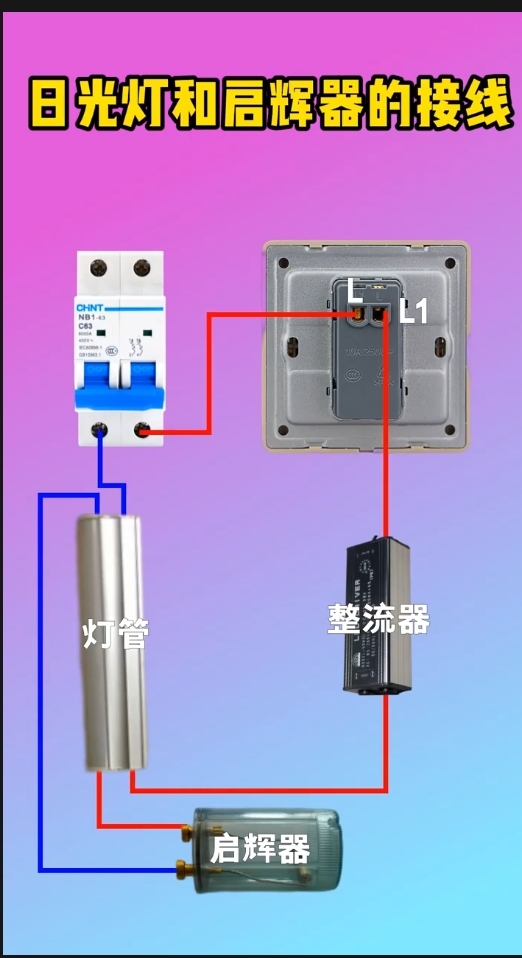 日光灯接线图实物图片