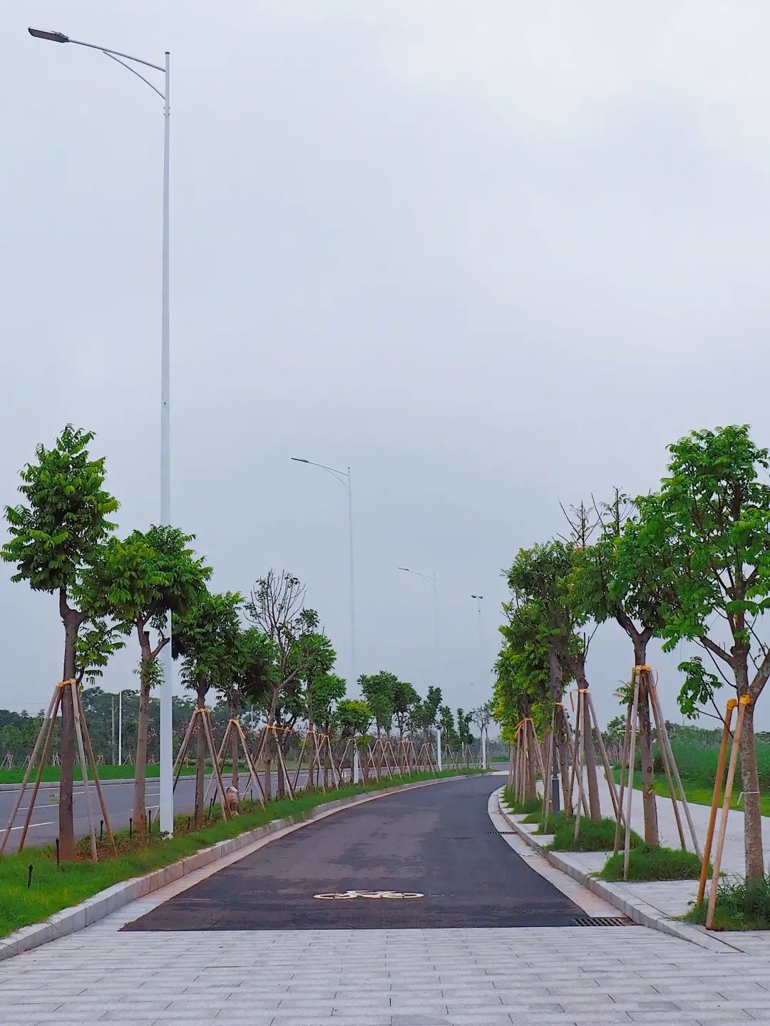 曾经环市西路开通后,大家前往环市西踩点的热情并不低于环市南路.