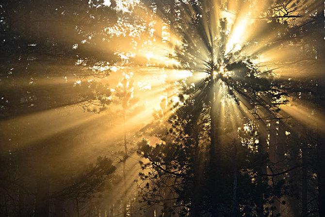 光︎ 为什么自然光对我们生活如此重要？ - BBC News 中文