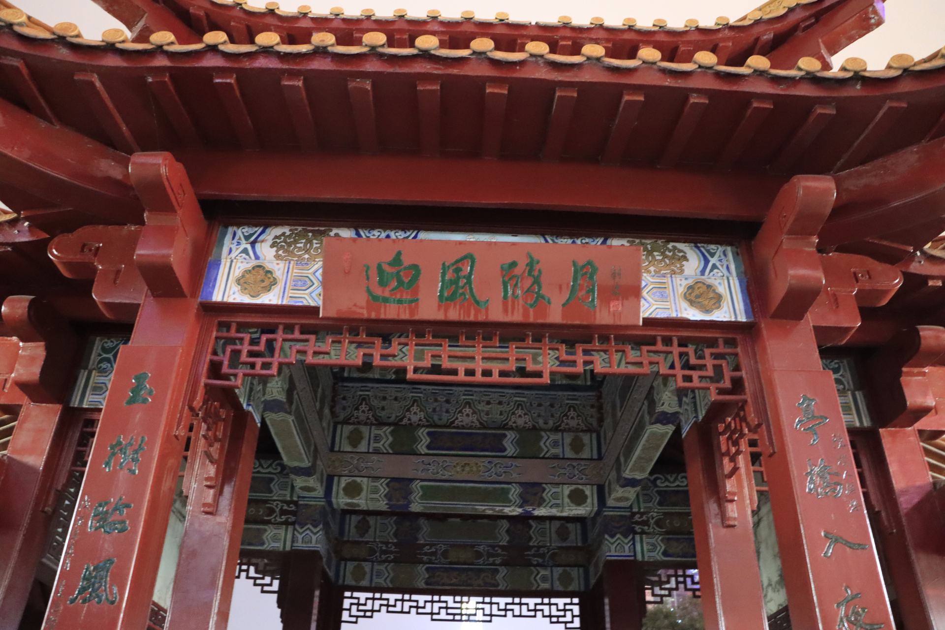 深圳罗湖荔枝公园夜景拍摄