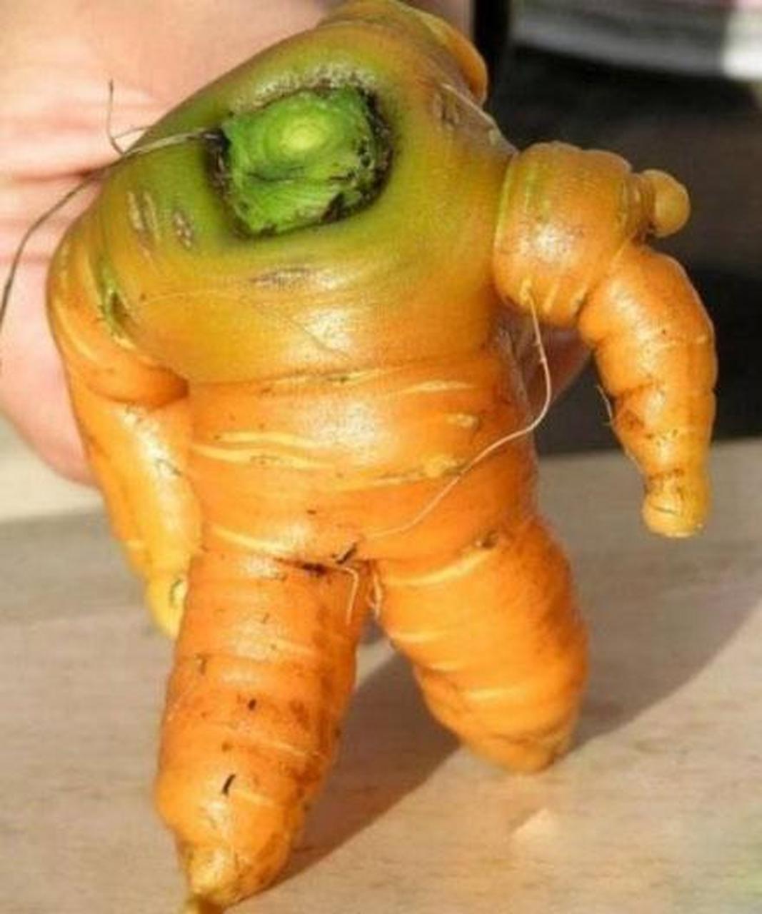 看看这些长相奇葩的蔬菜水果,简直就是大自然巧夺天工的艺术品.