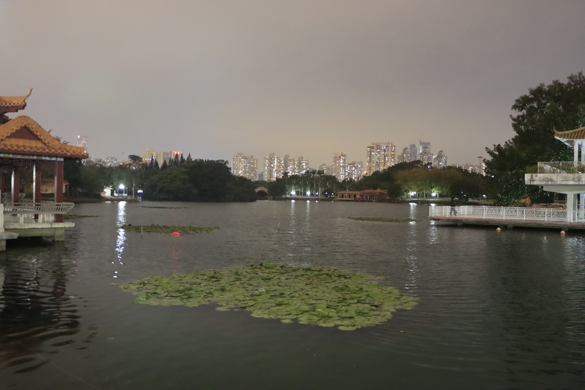 深圳罗湖荔枝公园夜景拍摄